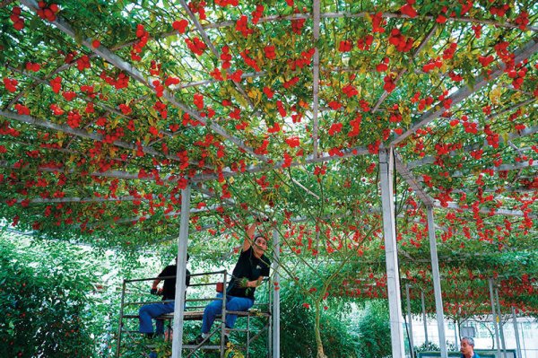 易多投资 瞭望 | 统筹“五个振兴”擦亮齐鲁样板