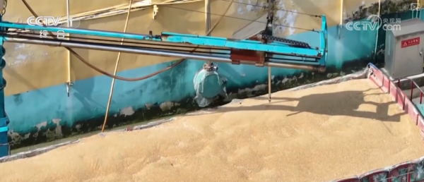 诚信双赢 一粒小麦里的党员温度 “党员突击队”下沉收购一线保障夏粮颗粒归仓