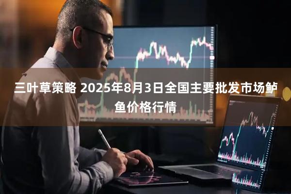 三叶草策略 2025年8月3日全国主要批发市场鲈鱼价格行情
