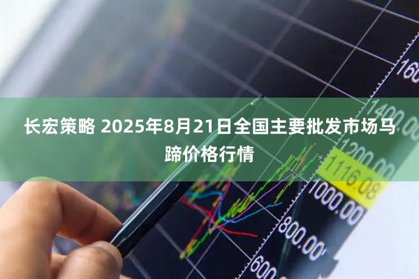 长宏策略 2025年8月21日全国主要批发市场马蹄价格行情
