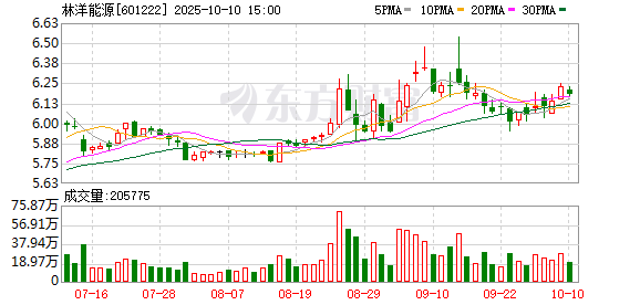 天载配资  国金证券给予林洋能源买入评级，短期业绩承压，积极拓展海外市场